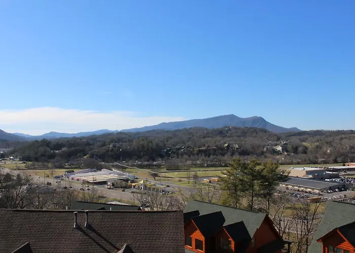 What A View